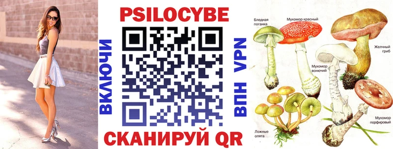 Псилоцибиновые грибы Psilocybine cubensis  закладки  Алушта 