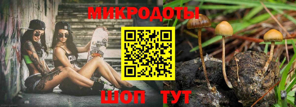 Галлюциногенные грибы Cubensis Алушта