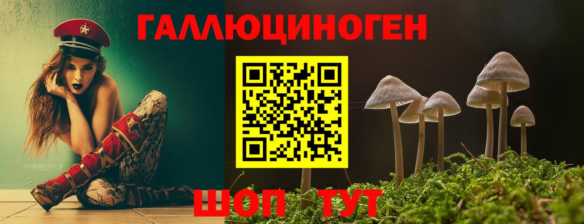Псилоцибиновые грибы Cubensis  Вход с VPN  Алушта 