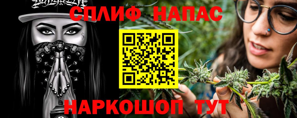 Бошки Шишки планчик Алушта